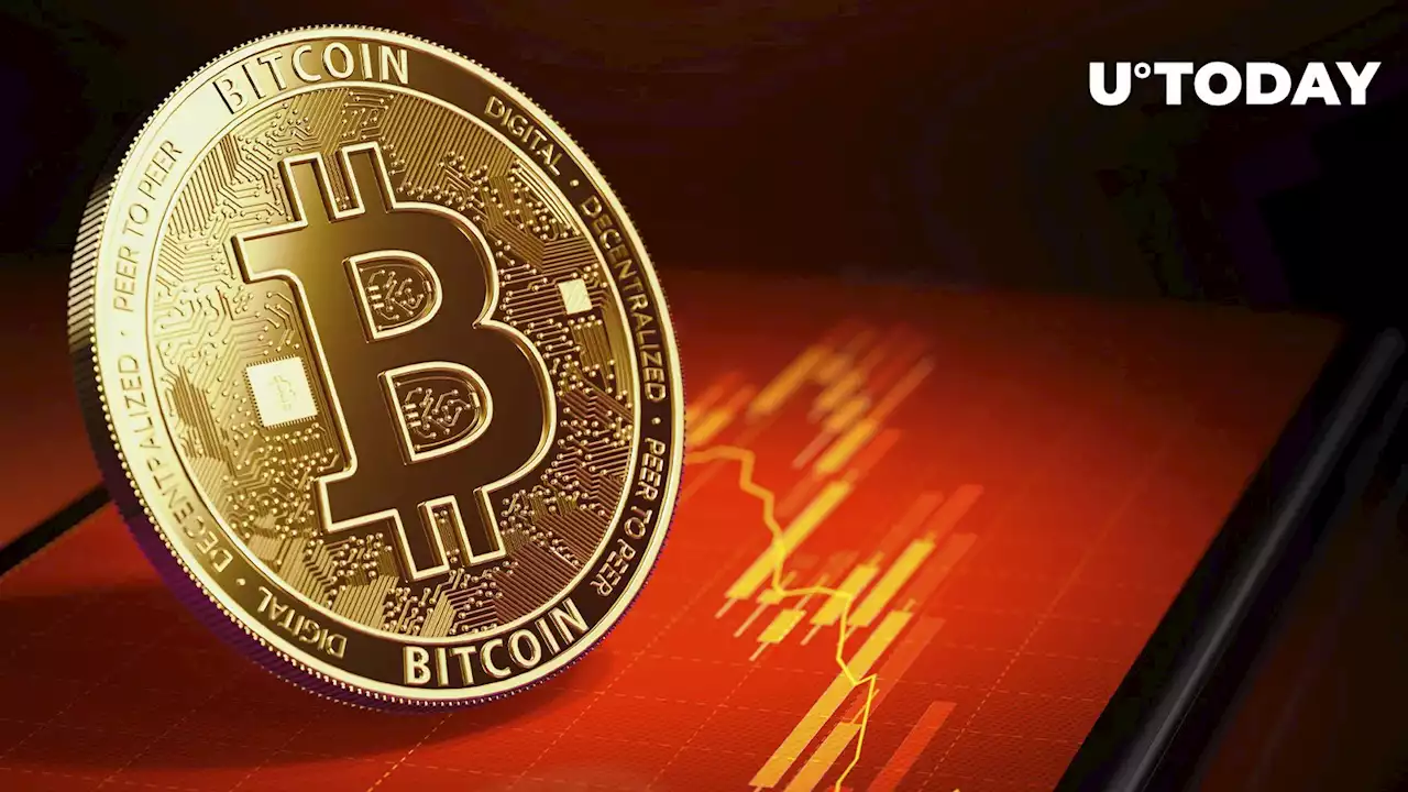 Bitcoin (BTC) May Go to Zero If This Happens, Says Bitcoin Veteran