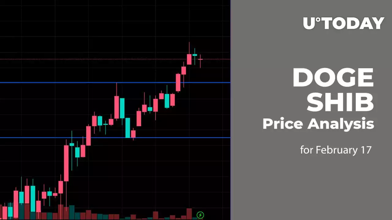 DOGE, SHIB Price Analysis for February 17