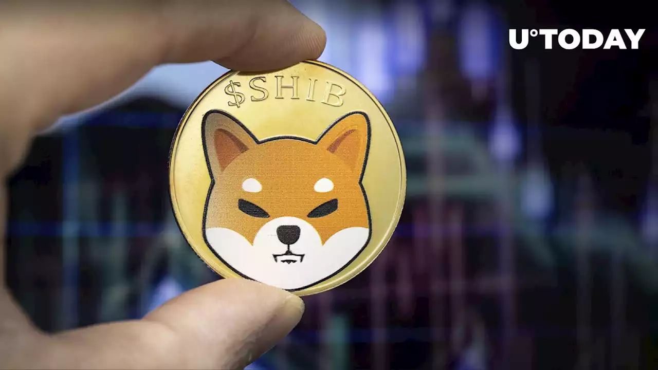 LEASH Price Jumps 41%: SHIB Fans Can't Get Enough