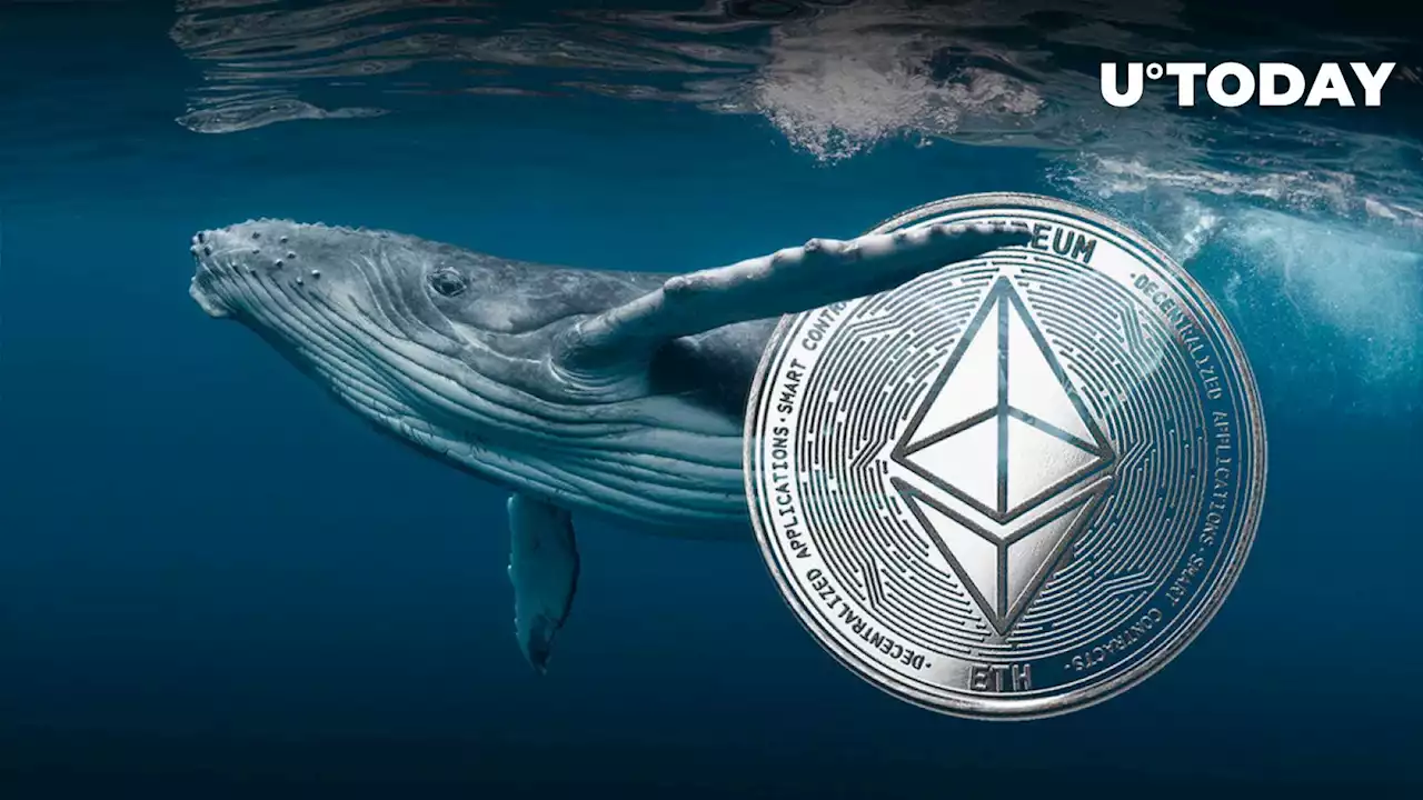 This Whale Keeps Grabbing Ethereum (ETH) Despite Price Rise - Potential Reason