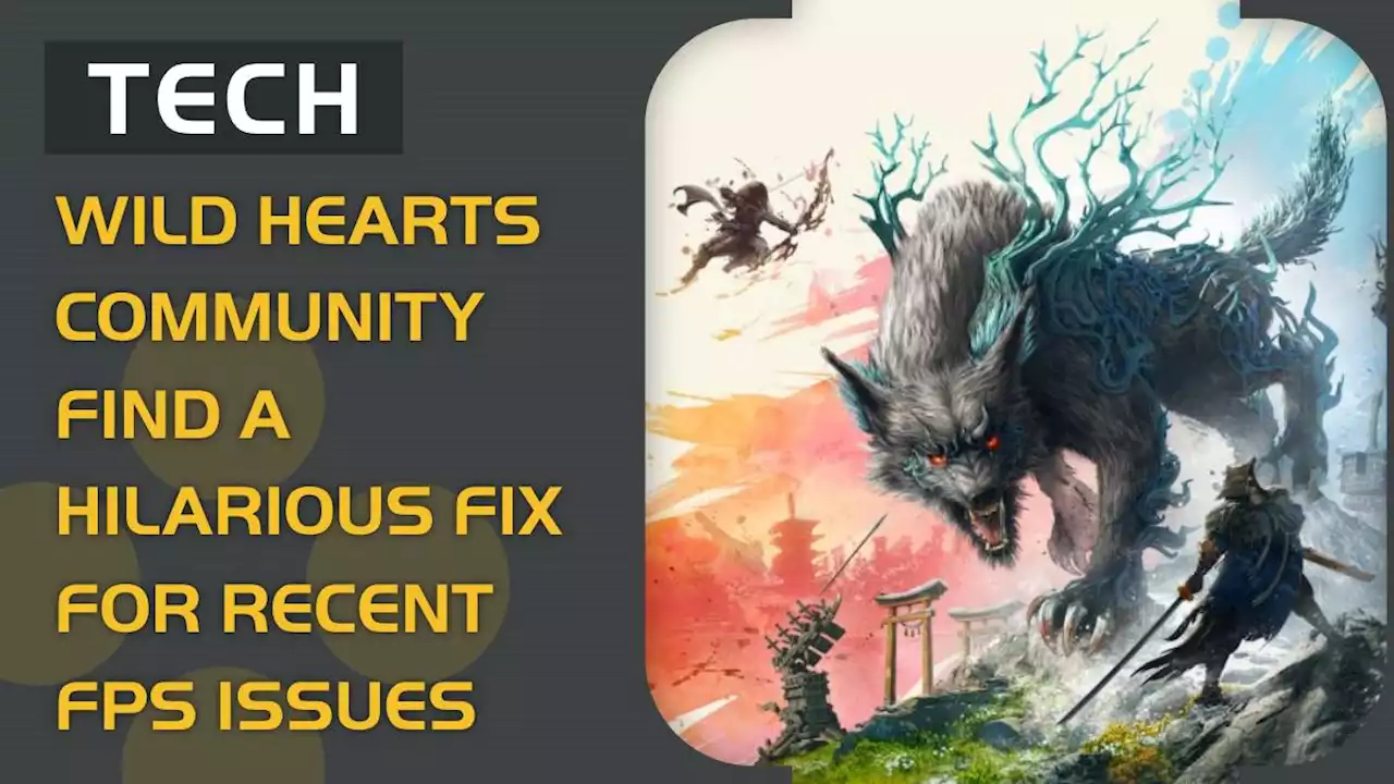 Wild Hearts community find a hilarious fix for recent performance issues