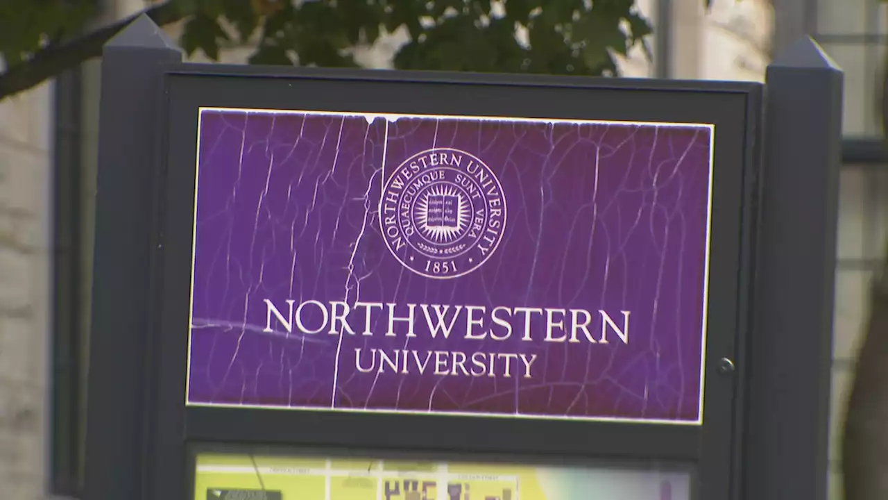 4 Northwestern University Employees Injured by Falling Tree