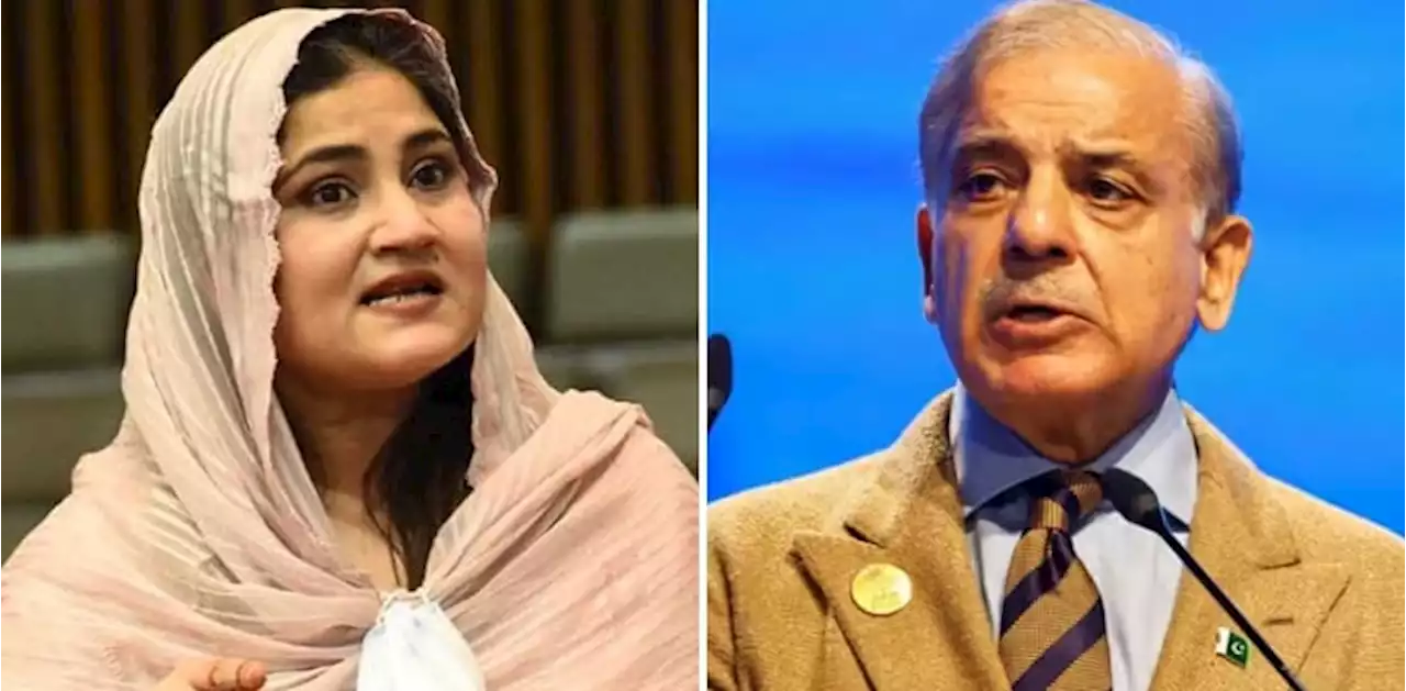 سائرہ بانو کی حکومت پر تنقید، اسمبلی میں وزیراعظم کی نقل اتار دی