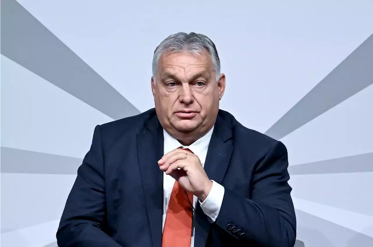 Orban fordert Waffenstillstand in der Ukraine: „Kriegslager wird von Deutschland angeführt“