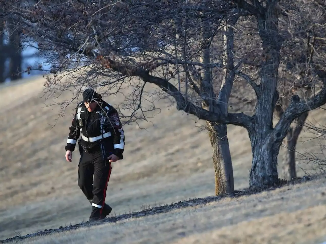 'Really horrific crime': Police identify victim of homicide at northeast Calgary park