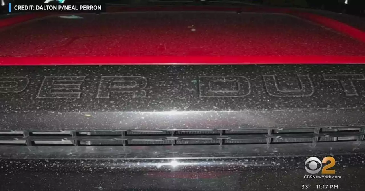 So-called 'soot' found on cars in Connecticut