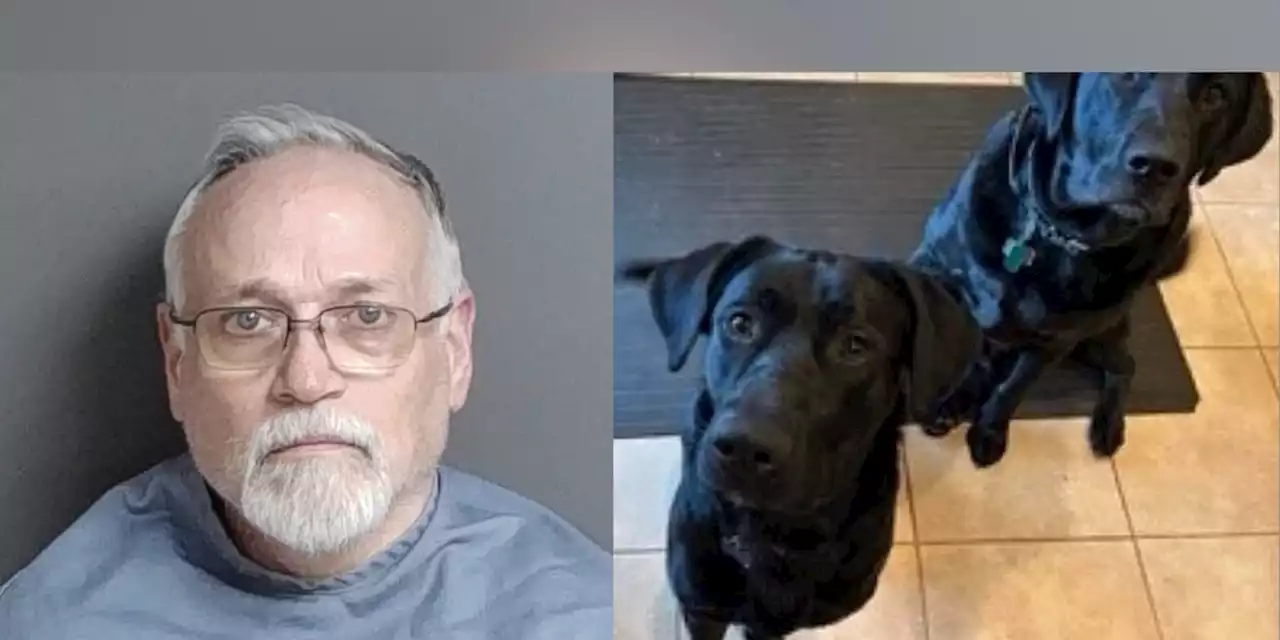 Dog owner charged with animal cruelty after his dogs found shot to death