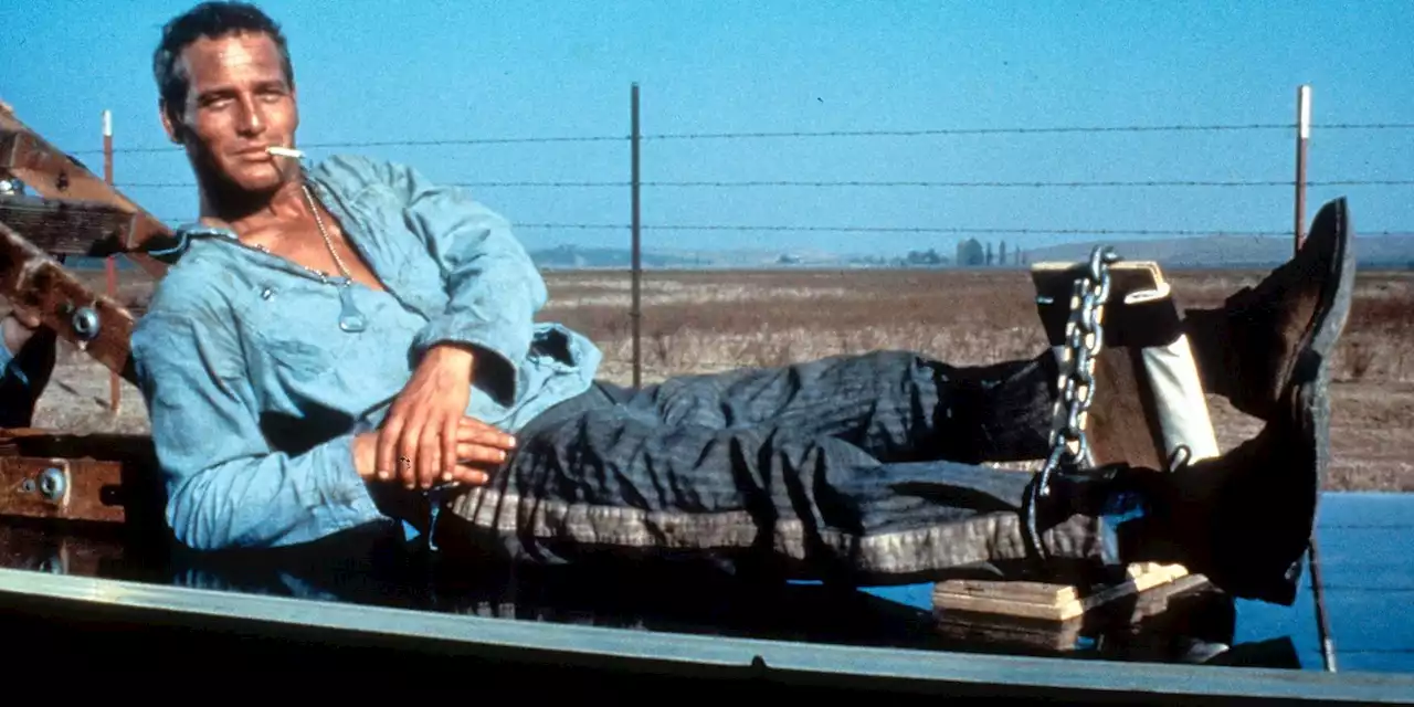 'Cool Hand Luke', 'The Maltese Falcon' and More Set 4K Ultra HD and Digital Release Dates