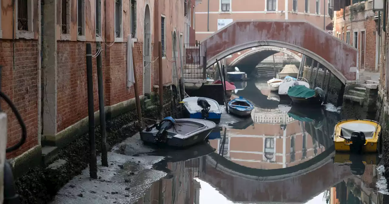 Italie. À Venise, une marée basse “exceptionnelle” sème le chaos