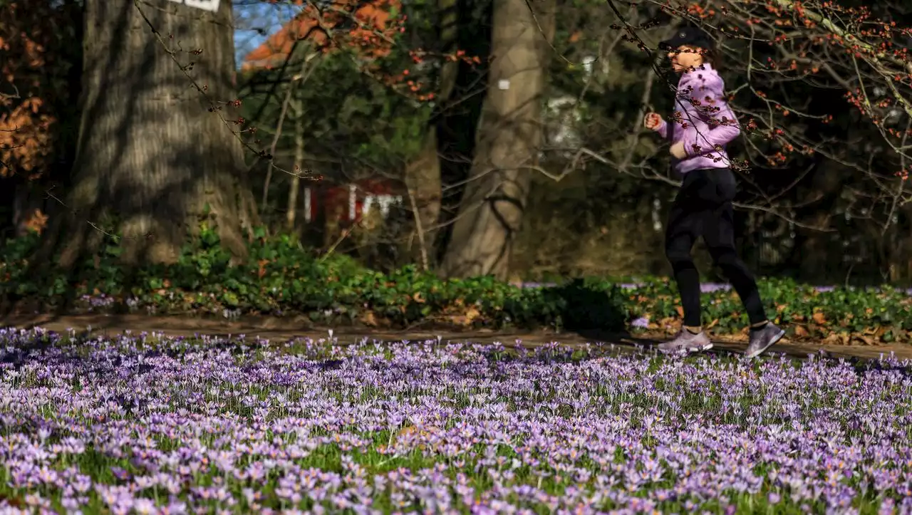 Frühling – Bilder des Februars: Ab jetzt wird es schön