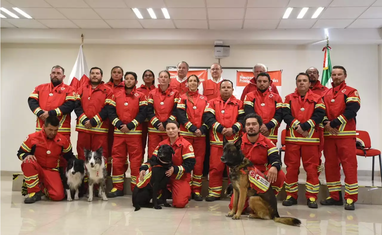 Cruz Roja reconoce labores de los perros rescatistas en Turquía: “La gente los atendía, estaban agradecidos”