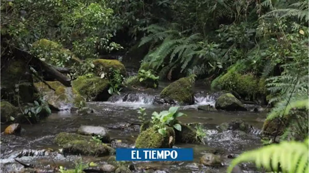 El Primer Club de Ciencias del sendero San Francisco-Vicachá abrió convocatoria