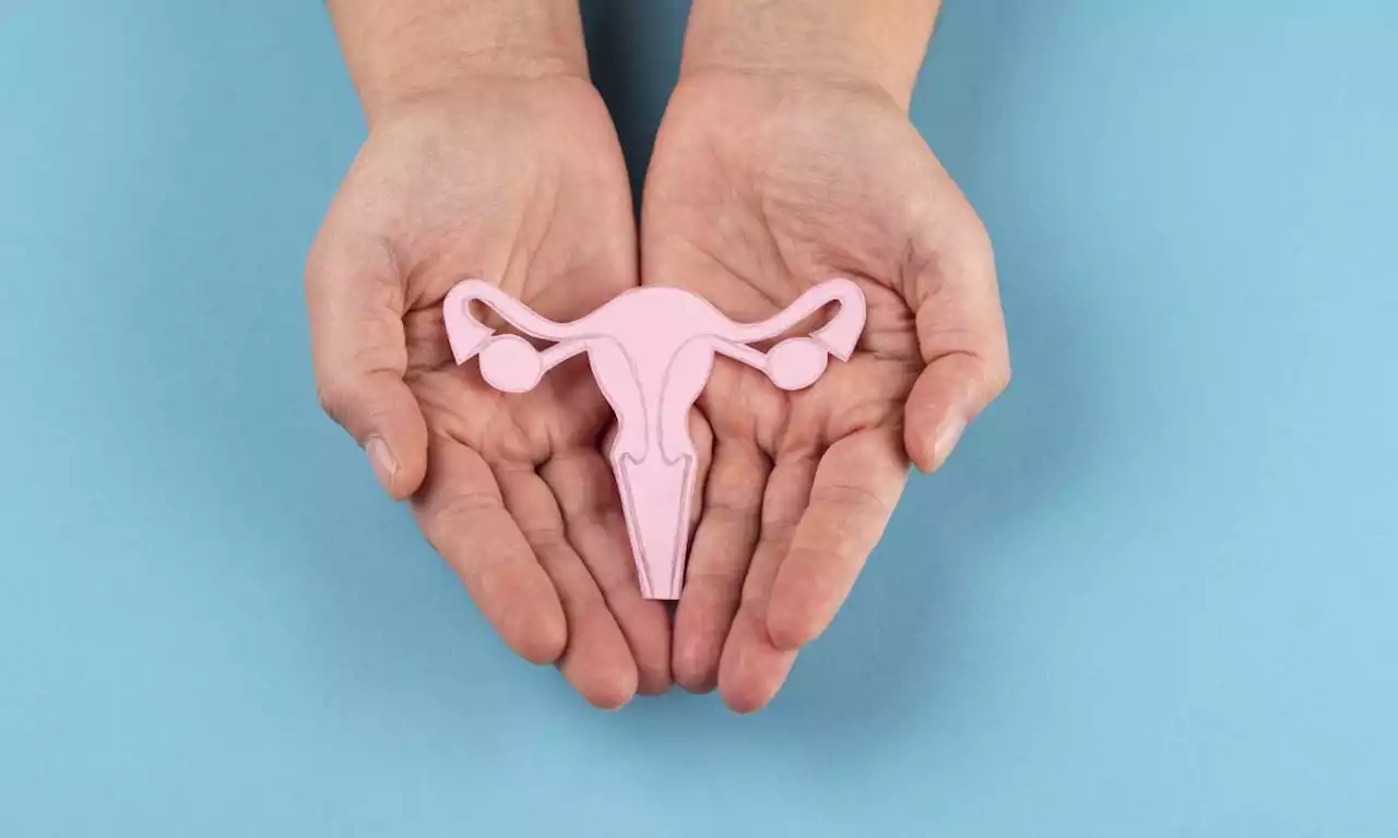 Conozca las tres fases del ciclo menstrual y descubra en cuál está