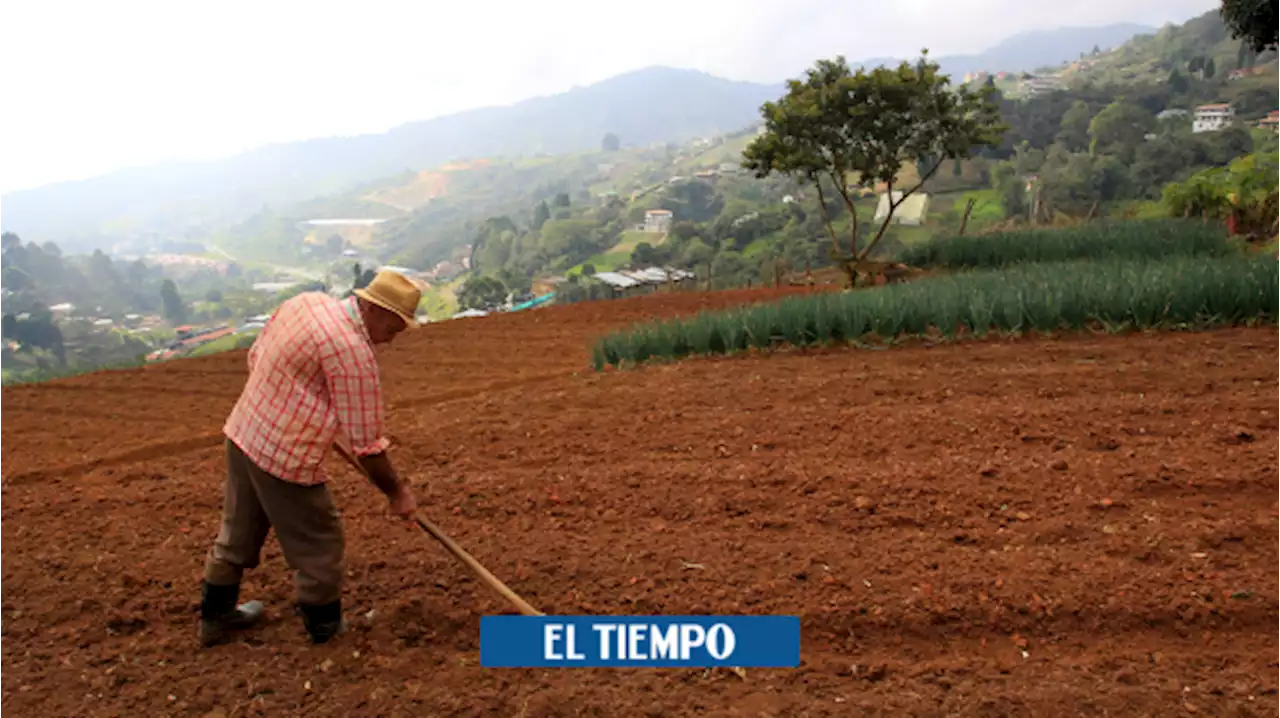 Salud y agro, los ganadores de la adición presupuestal