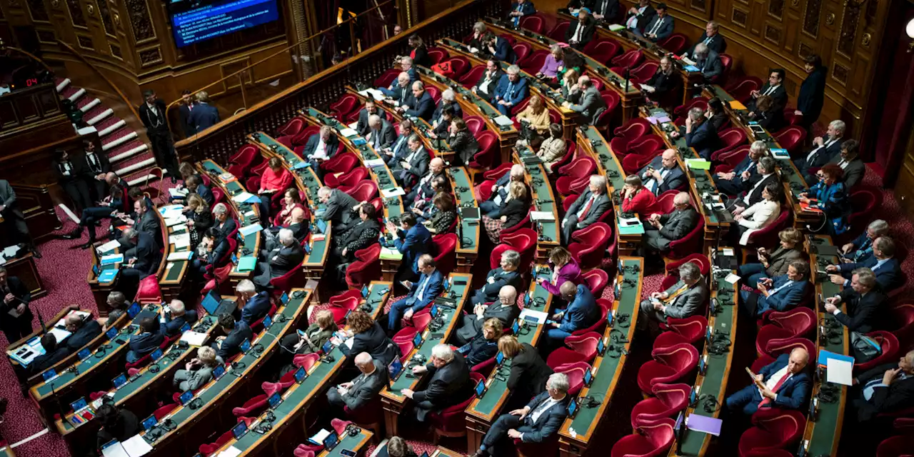 Réforme des retraites : après son examen à l'Assemblée, quelle suite pour le texte au Sénat ?