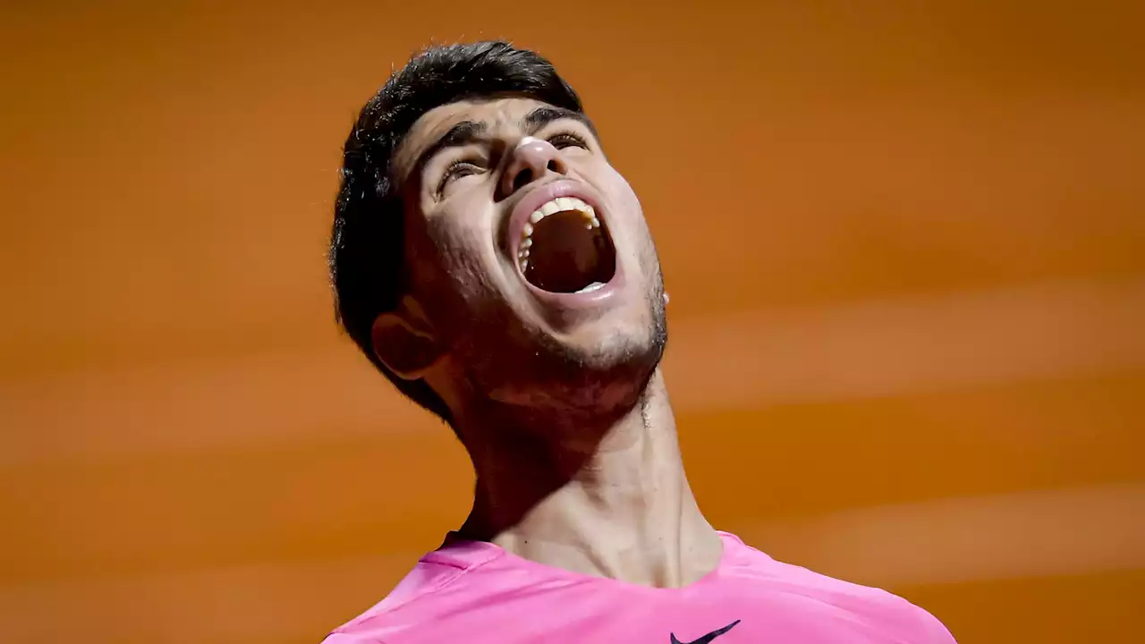 ATP Buenos Aires, Carlos Alcaraz e Cameron Norrie volano in semifinale