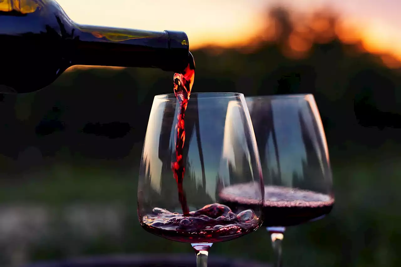 9 Stellar Cabernet Sauvignons for Under $20