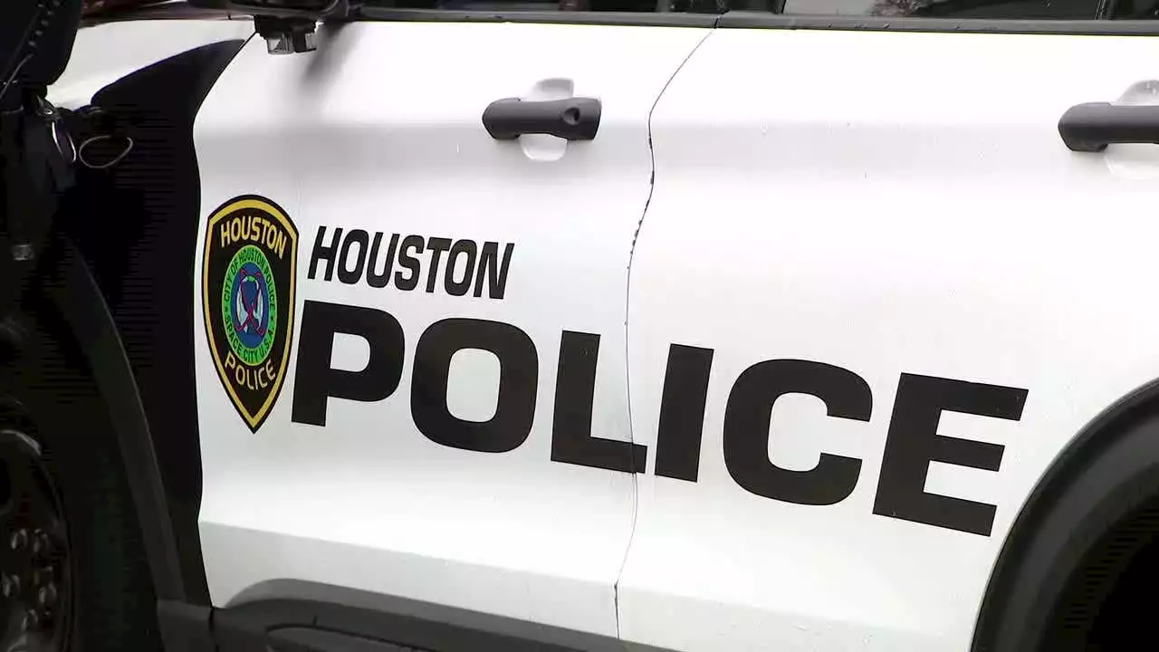 Man shot to death after stabbing 2 Houston police officers