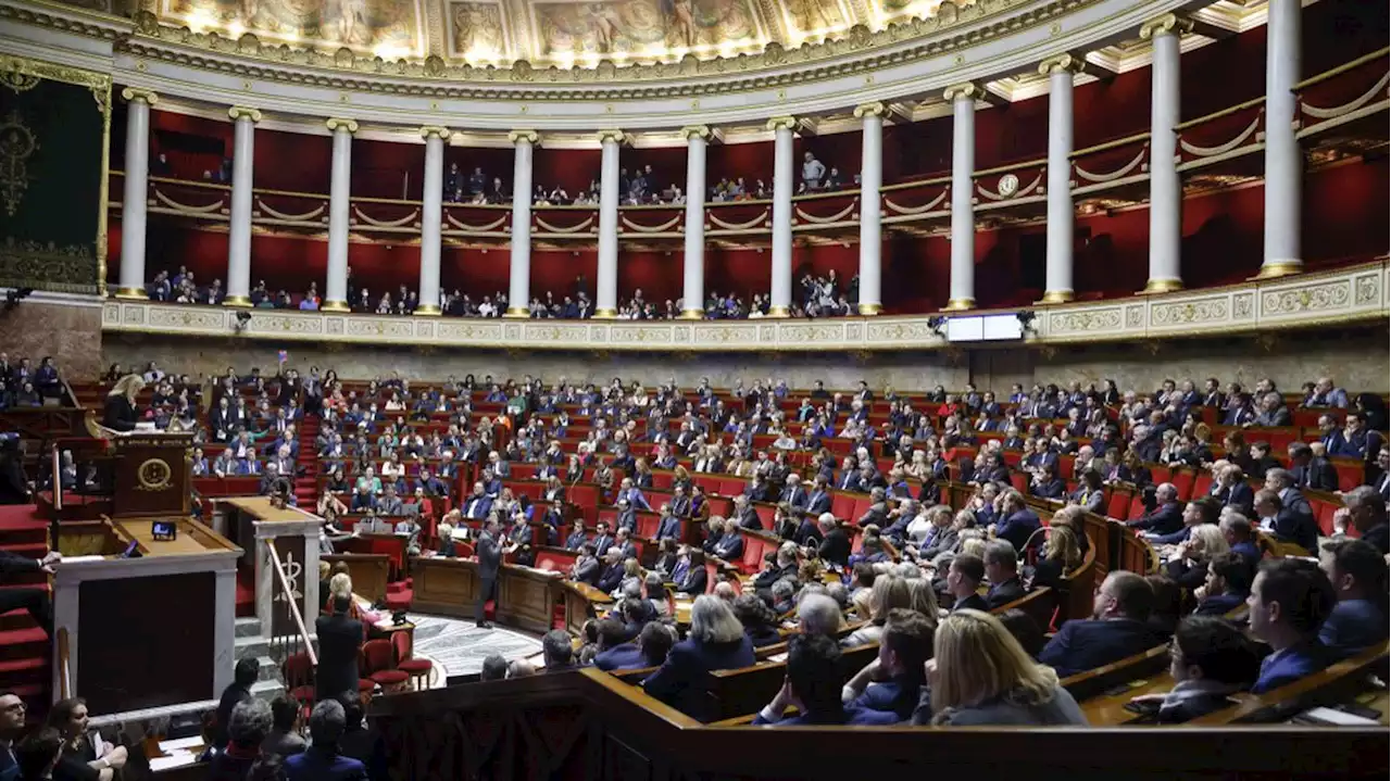 Réforme des retraites : la motion de censure du RN largement rejetée par l'Assemblée nationale