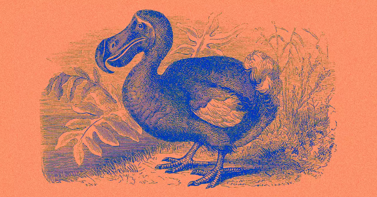 Startup Backed By 'Jurassic World' Producer Says It Will Revive Extinct Dodo Using Complete Genome