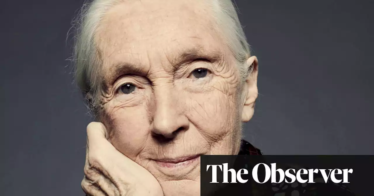 Jane Goodall: ‘People are surprised I have a wicked sense of humour’