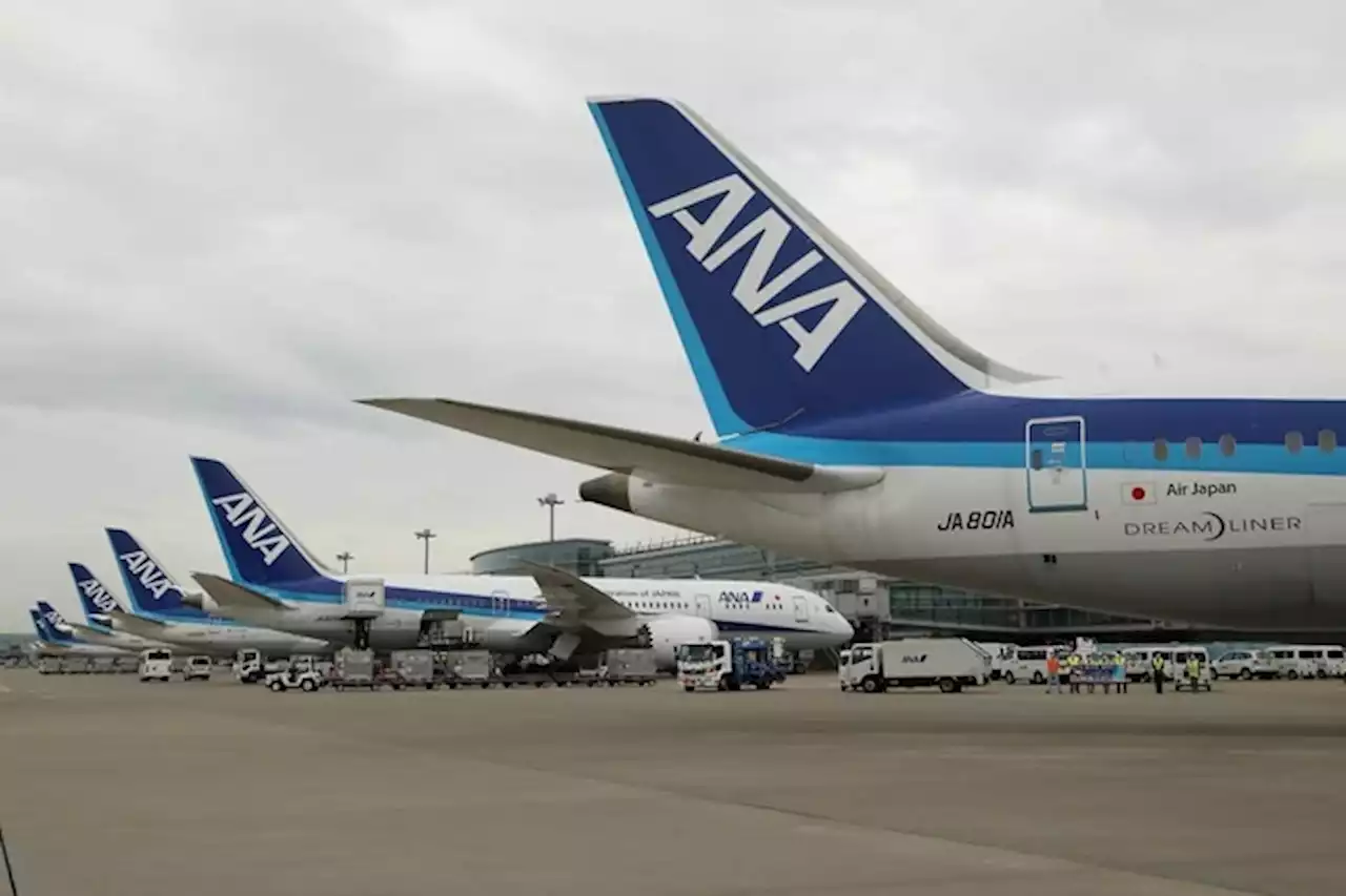 ANA HD、2025年度には旅客数「コロナ前並み」に 飛行機の数は2030年度に「コロナ前以上」へ - トピックス｜Infoseekニュース