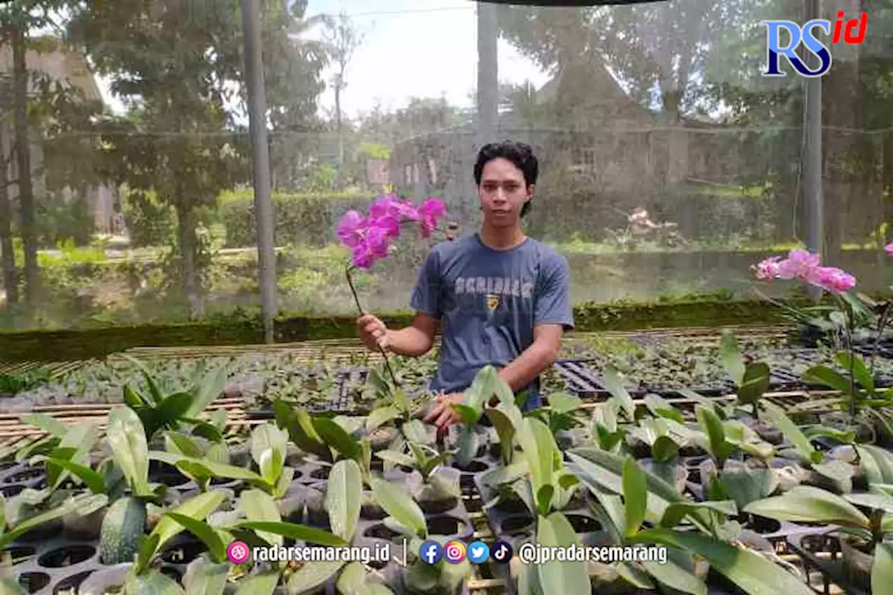 Grahardika Kusuma, Kuliah Sambil Budidaya Anggrek, 4 Empat Greenhouse, Berdayakan Warga