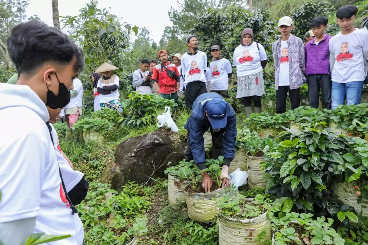 Orang Muda Ganjar Gelar Pelatihan Pertanian Organik Bareng Petani Milenial