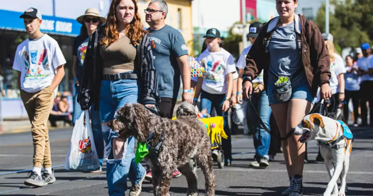 Pets of Pima Parade to be held Feb. 19