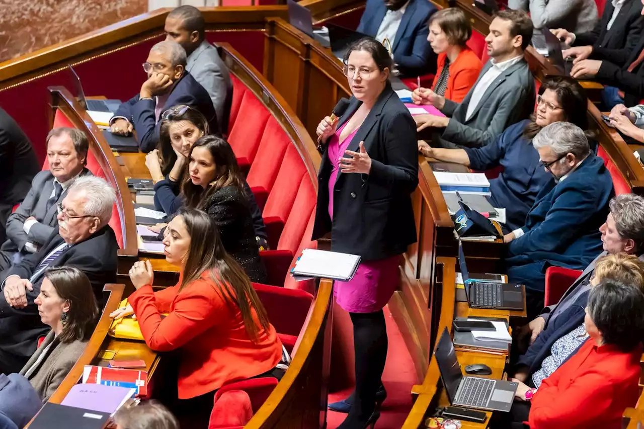 Réforme des retraites : les députés écologistes dénoncent un « raté stratégique de LFI »