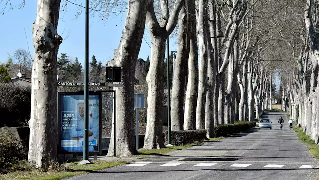 TEMOIGNAGE EXCLUSIF. 'Des feuilles recouvraient le nourrisson' : la maman qui a sauvé le bébé abandonné près de Toulouse raconte