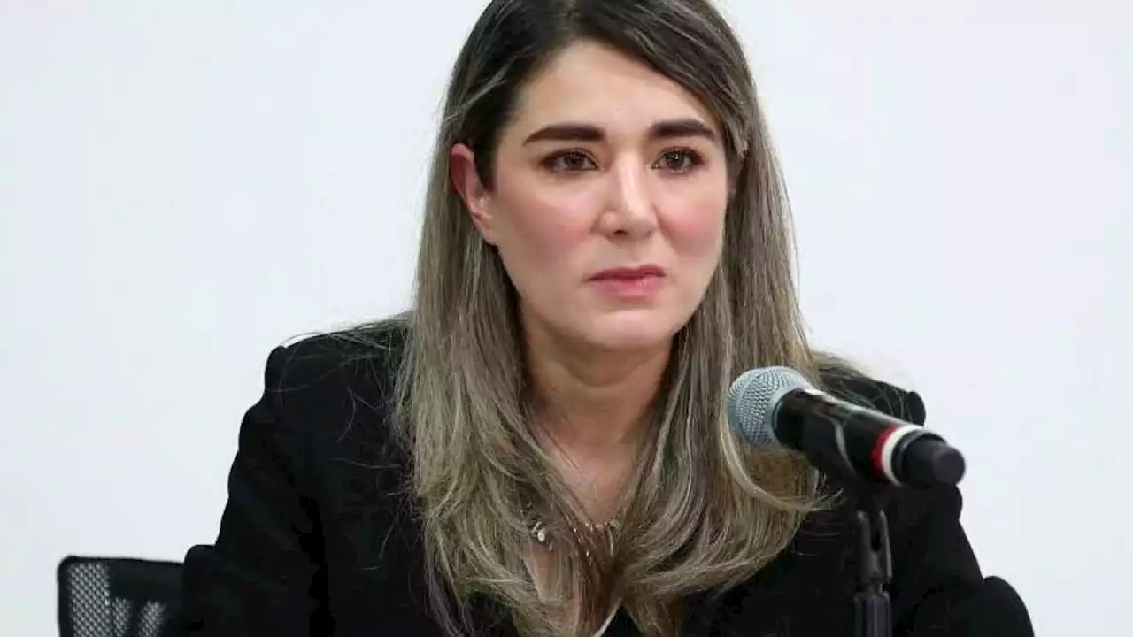 Proceso de selección de consejeras y consejeros del INE pueden ser impugnable: Dania Ravel