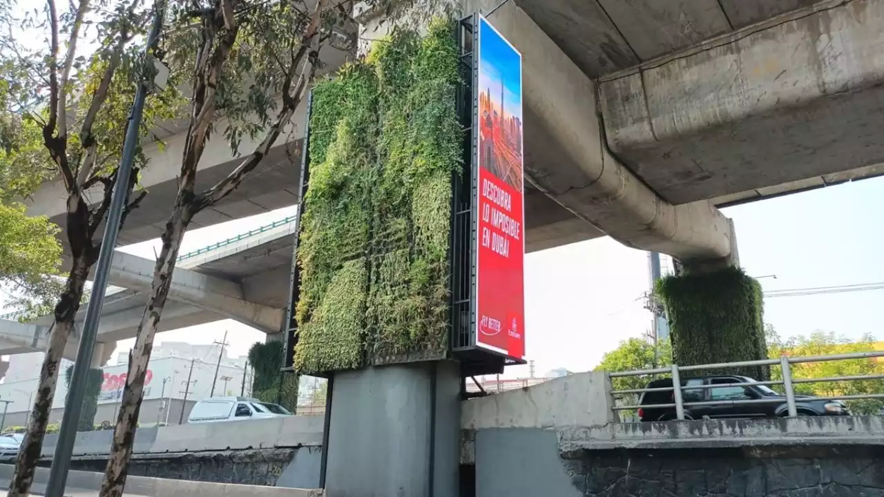 Alertan de engaños con jardines verticales para 'inundar' de publicidad CDMX