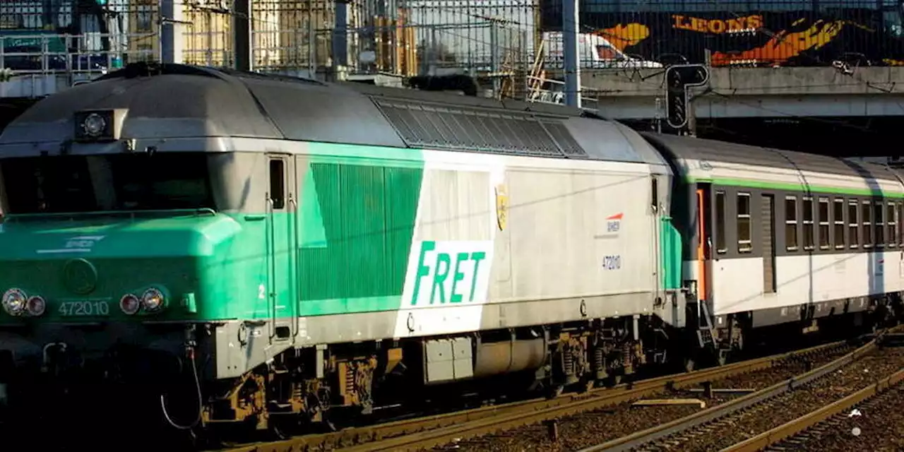 Cette très chère gare de fret fantôme aux portes de Paris