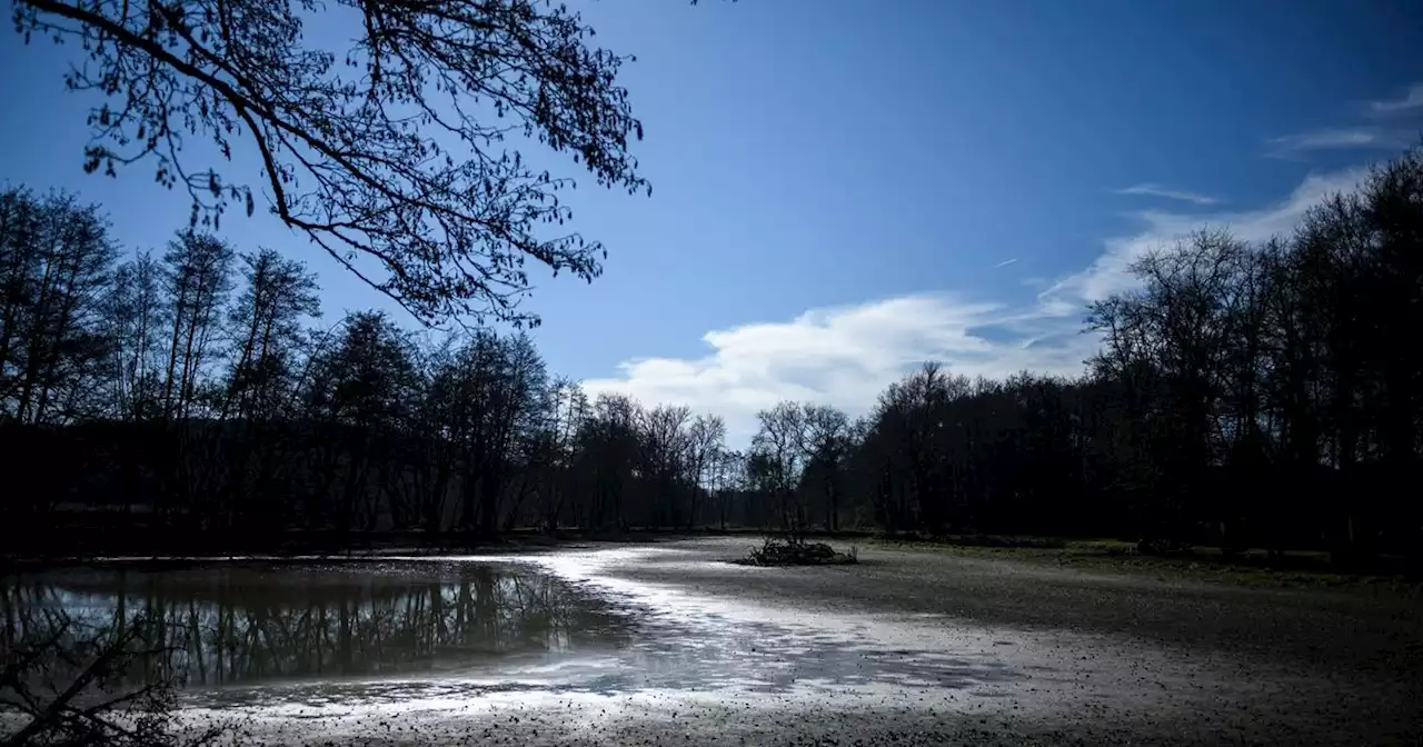 Sécheresse historique en France : 'du jamais-vu en hiver' selon Météo France