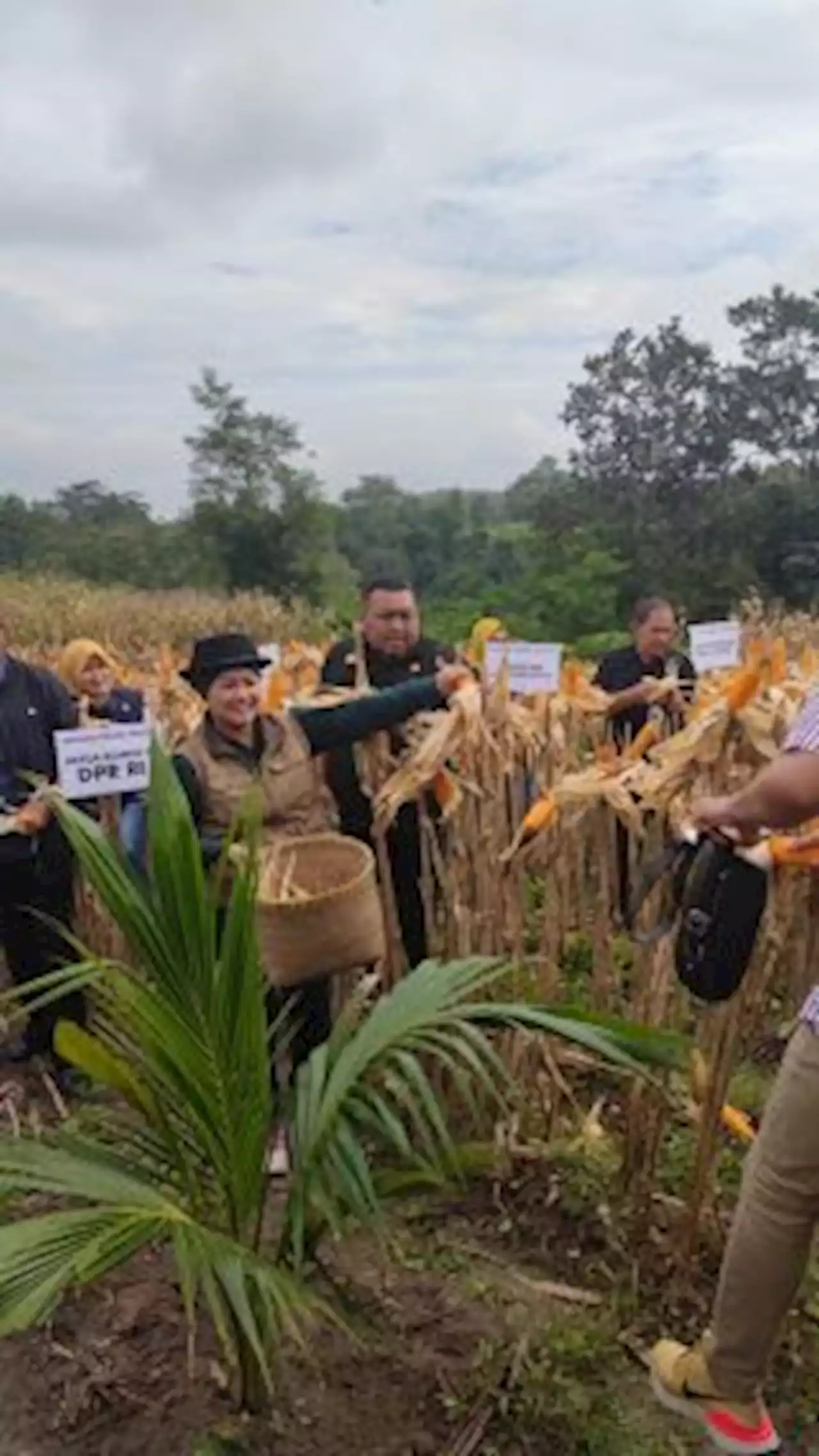 Kementan Fokus