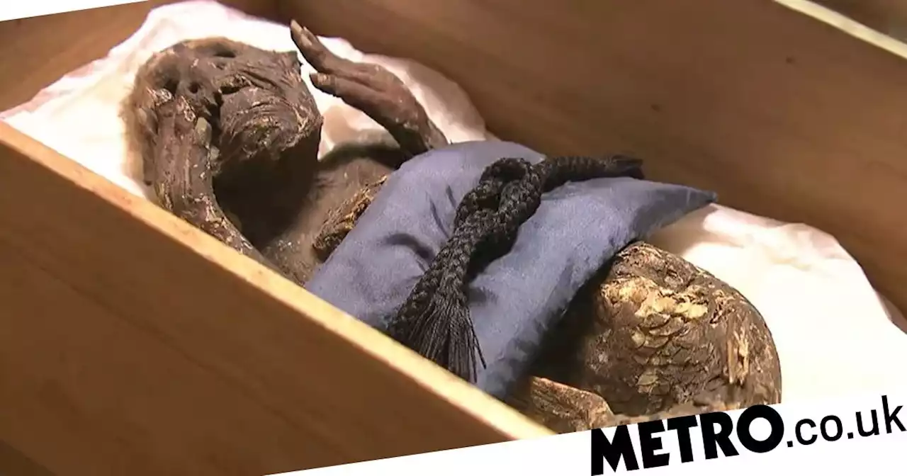 Mystery of Japan's sacred 'mummified mermaid' is finally solved