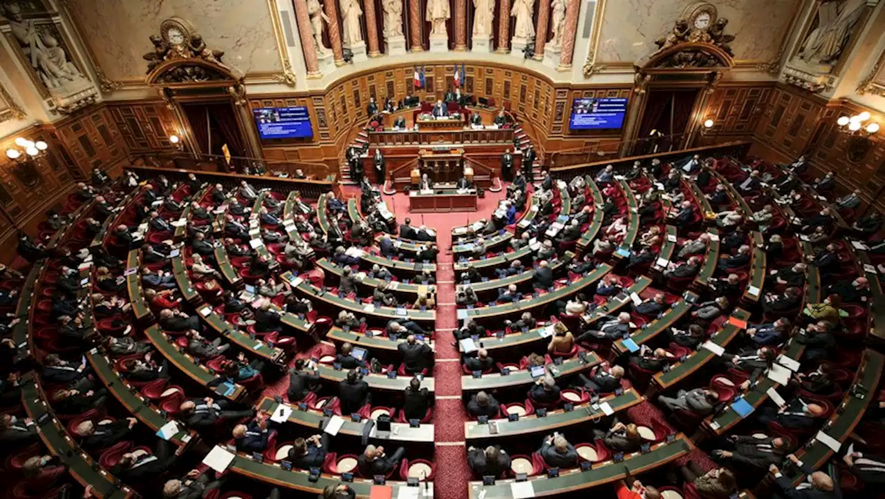 Réforme des retraites : quels scenarios pour le projet qui a quitté l'Assemblée pour le Sénat ?