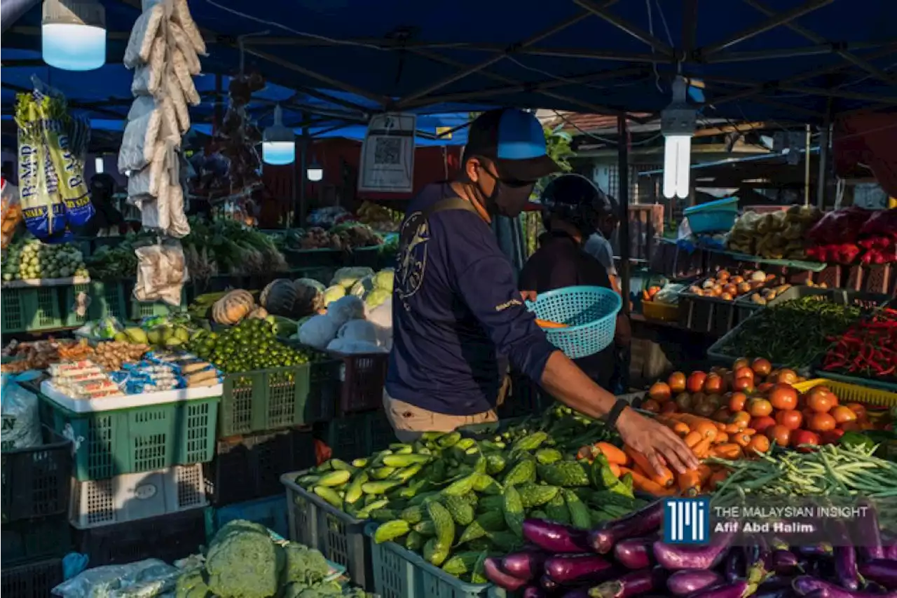 Petani, pemborong rugi harga sayur murah | The Malaysian Insight