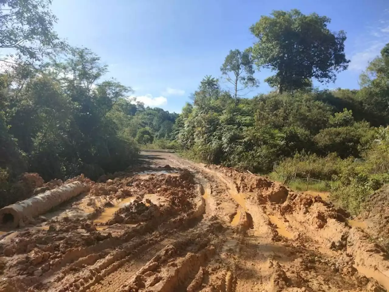 Transporters in rural Sarawak fear breakdowns in ‘dead zones’ | The Malaysian Insight