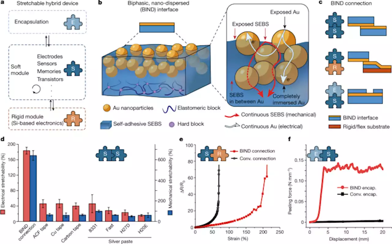 A universal interface for plug-and-play assembly of stretchable devices - Nature