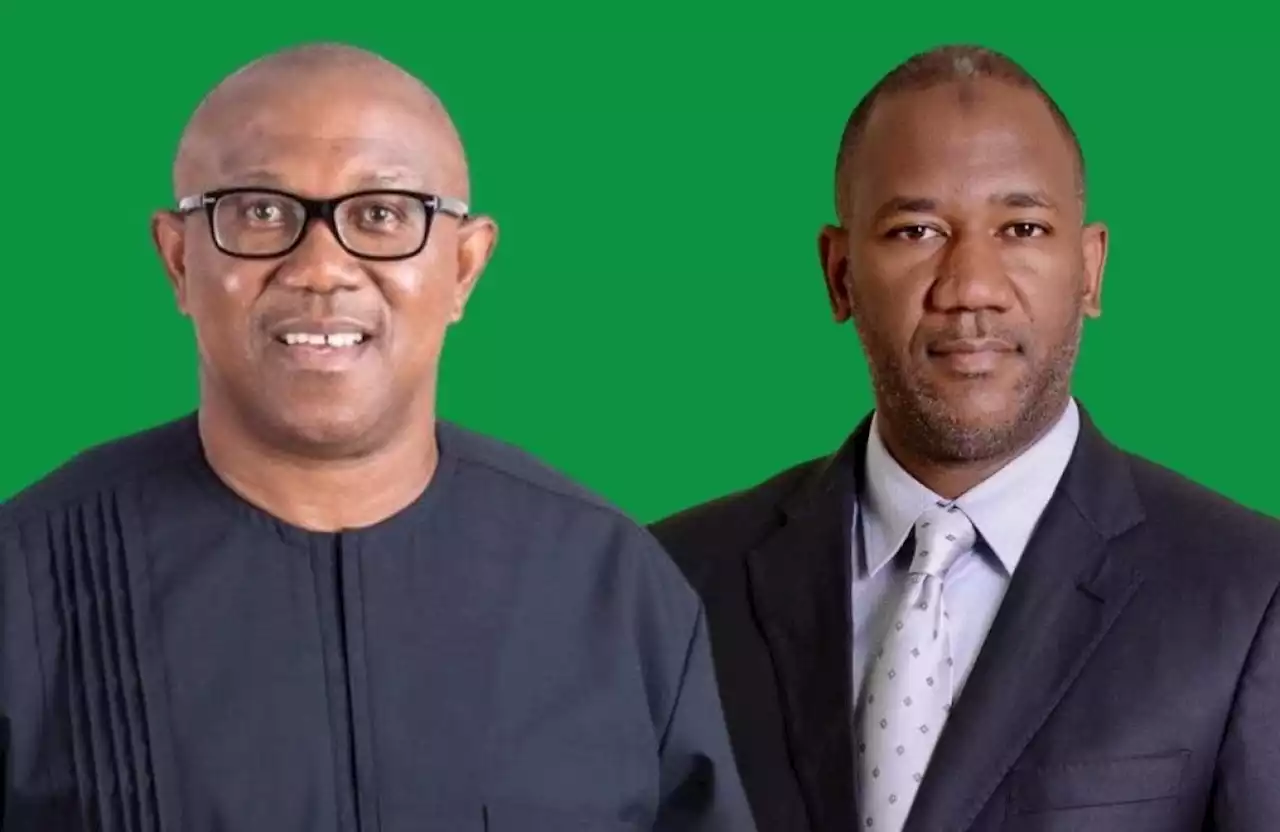2023: Northern elders open up on ‘endorsing’ Peter Obi-Datti