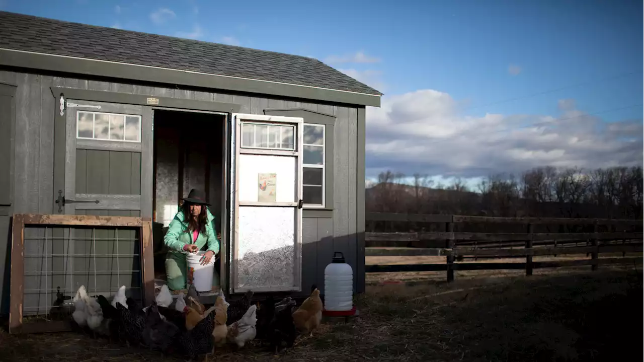 An activist group is spreading misinformation to stop solar projects in rural America