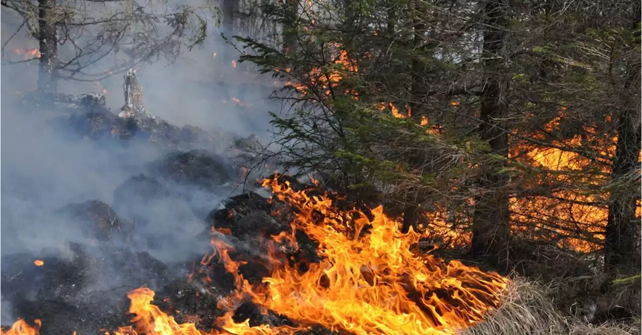 SMHI varnar för gräsbrand i delar av Värmland