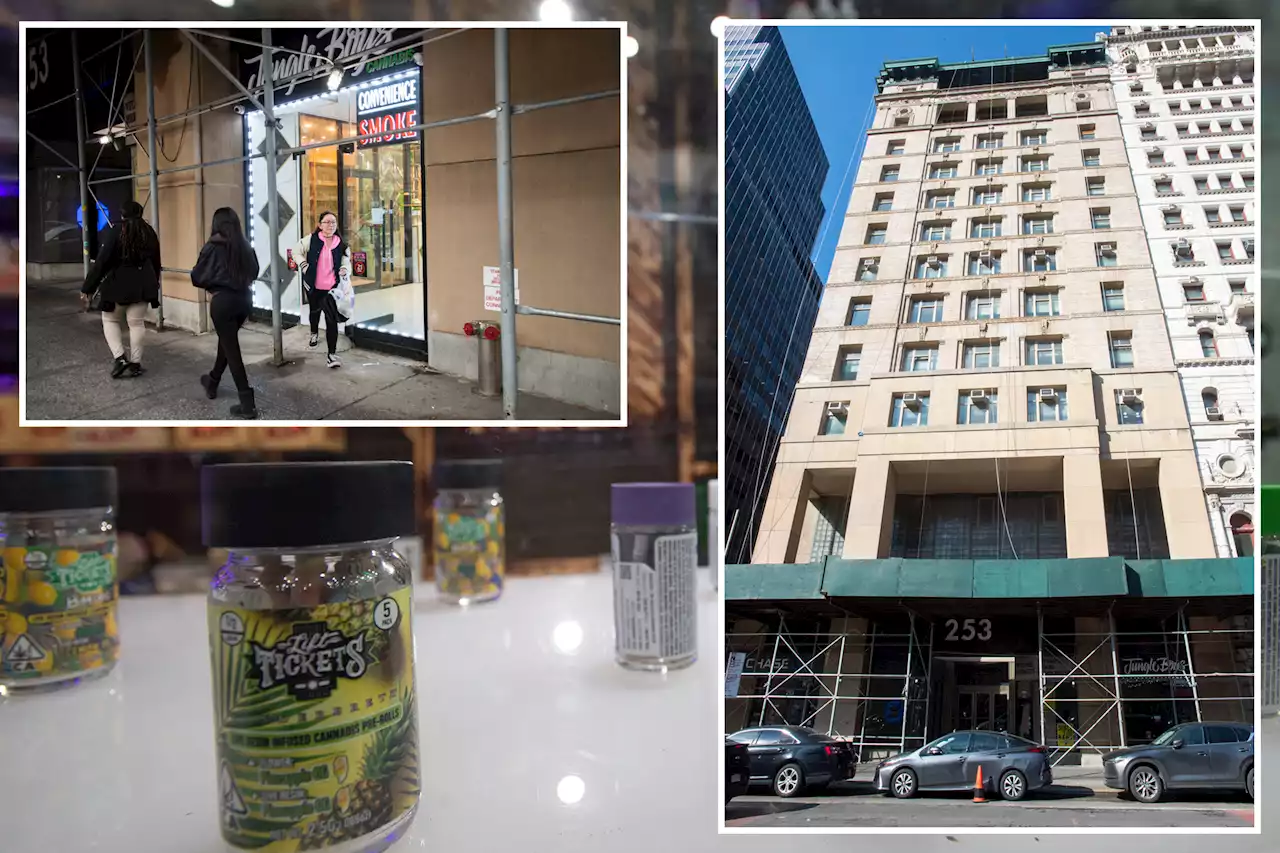 Illegal NYC weed shop across from City Hall returns after third raid