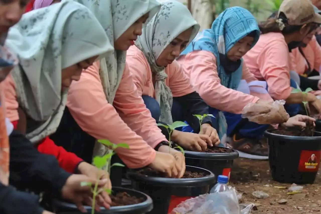 Antisipasi Kenaikan Harga, Emak-emak Diajari Budidaya Pohon Cabai