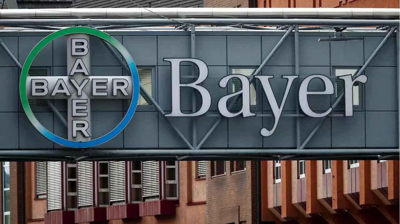 Brasilianische Bauern klagen erfolgreich: Bayer muss mehr als 250 Millionen Dollar Lizenzgebühren zurückzahlen