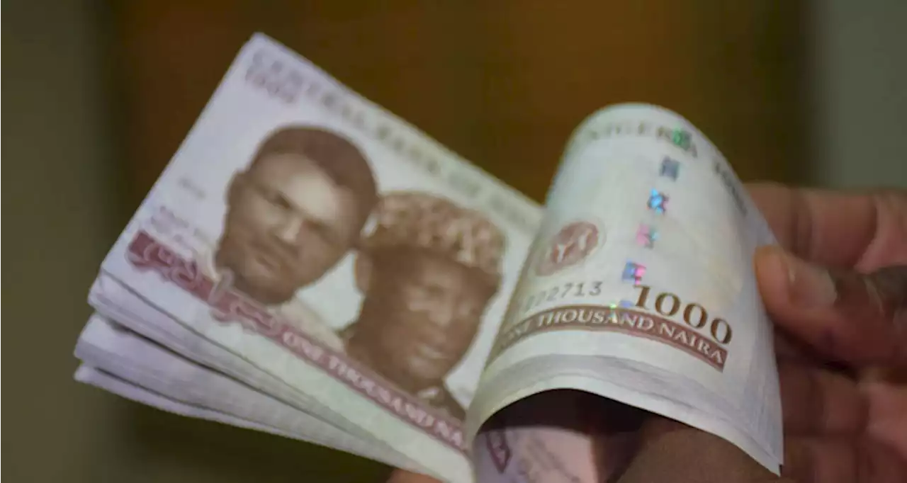 Banks begin collection of old naira notes despite CBN's denial of directive | TheCable