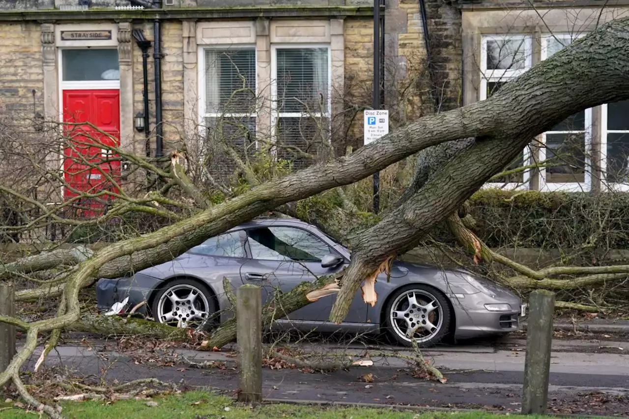 Thousands still without power after Storm Otto causes chaos