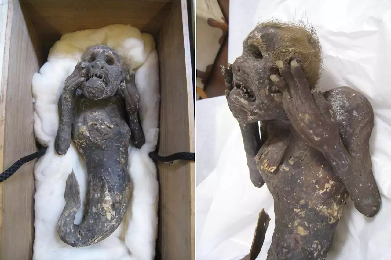 Mystery of 300-year-old mummified 'mermaid' with 'human face' finally solved